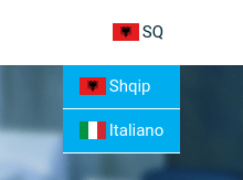 Language changer